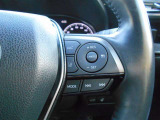 右手側には高速運転時にも役に立つ、運転支援系のスイッチもあります。