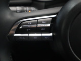 ステアリング左側にはオーディオコントロールスイッチを搭載。走行中でも簡単に音量の上げ下げ、曲の送り戻し、モードの切り替えが可能です。クイックに切り替えてお好みの音楽で楽しいドライブを!