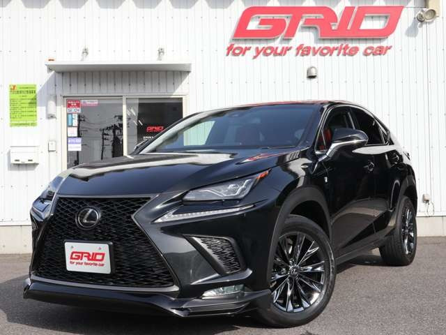 NX 300 Fスポーツ 4WD 