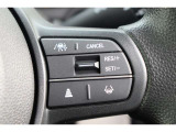 高速道路を走行中、アクセルとブレーキの操作をドライバーの代わりに行い安全運転を支援する「渋滞追従機能付アダプティブクルーズコントロール(ACC)」を装備しております。