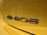 EVモデルのフラッグシップ「e-208 GT」