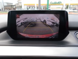 駐車時に便利なバックカメラも装備されています。
