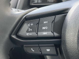 オーディオの音量やチャンネル操作ができるスイッチが、ハンドルに付いています。運転中でも、操作が行えて非常に安全・便利です!