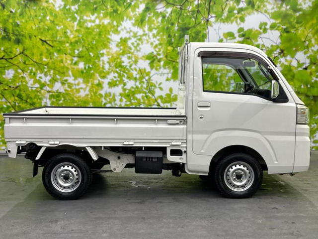 ダイハツ ハイゼットトラック エクストラ 4WD の中古車詳細 (52,300km