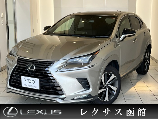 NX 300 スパイス&シック 4WD
