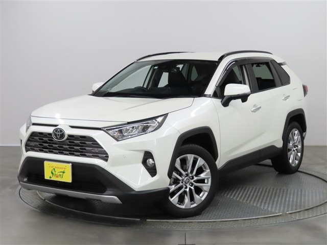 RAV4  2.0 G Zパッケージ 4WD