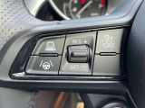 車両レーダーが前方車を検知、設定した速度よりも遅い車両が現れても、設定された車間距離を保つためにエンジンブレーキとシフトダウンによって自動減速します。車間距離が開けば、設定された速度まで再加速します。