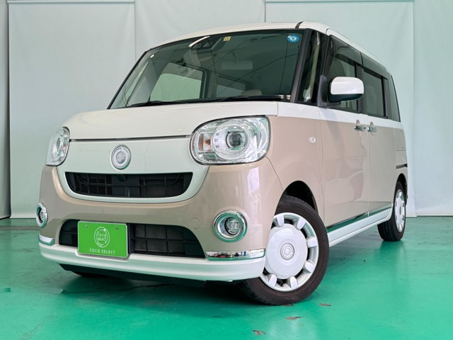 ムーヴキャンバス G メイクアップ SAIII 