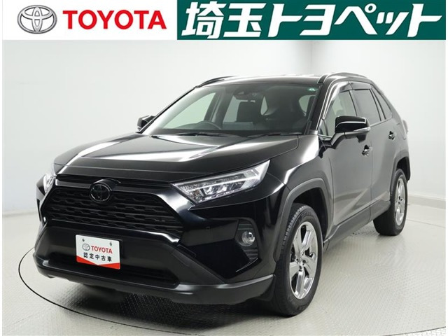 RAV4 2.0 X 