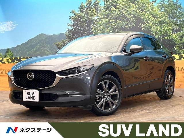 CX-30 2.0 X プロアクティブ ツーリングセレクション 