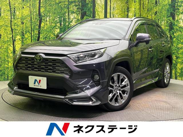 RAV4  G Zパッケージ