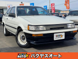 トヨタ カローラレビン 1.5 SE