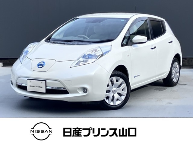 リーフ 30kWh X 