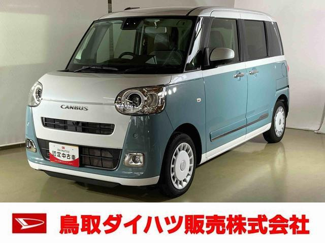 ムーヴキャンバス  ストライプス G