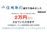 リーフ X 