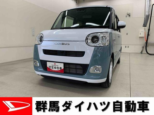ムーヴキャンバス  ストライプス G