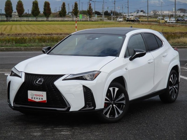 UX 250h Fスポーツ エモーショナル エクスプローラー 