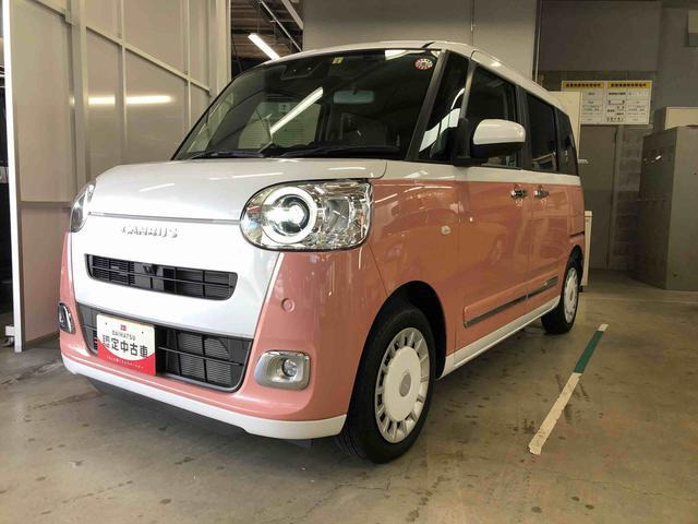 ムーヴキャンバス  ストライプス G
