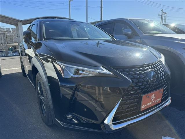 UX 200 バージョンC 純正ナビTV運転支援OP17AW電動RドアLED