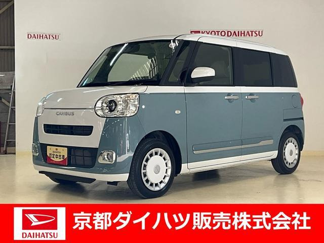 ムーヴキャンバス  ストライプス G