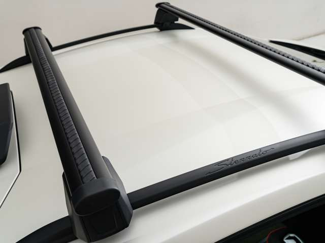 ランボルギーニ ウラカンステラート (LDF) 4WD OP750カーボン