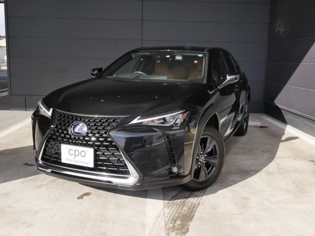 UX 250h バージョンC 