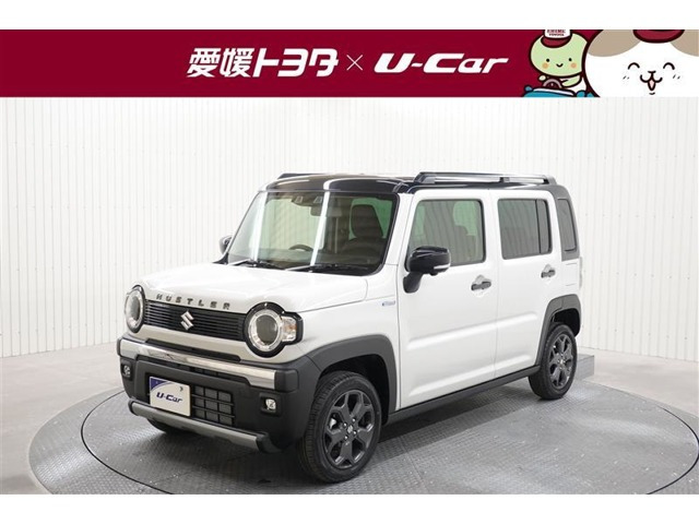 ハスラー タフワイルド 