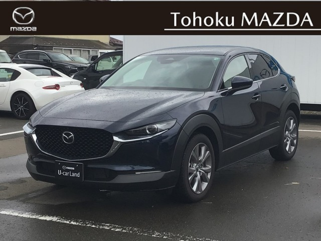 CX-30 2.0 20S ツーリング 