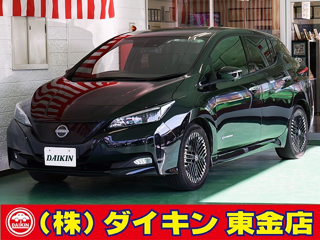 リーフ X Vセレクション プロパイロット ナビTV アラモニ