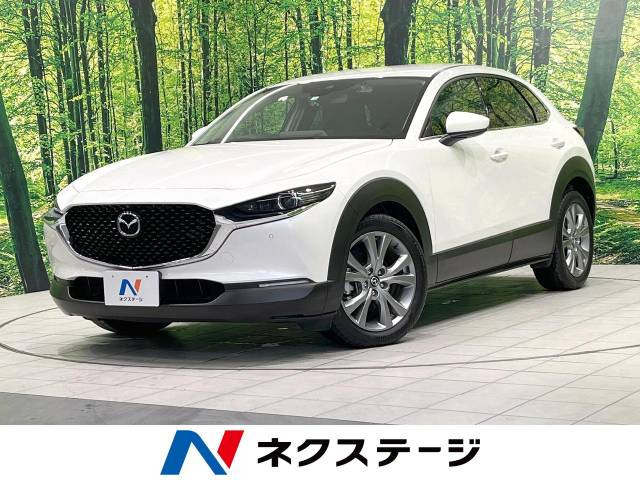 CX-30 2.0 20S プロアクティブ ツーリングセレクション 