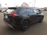 RAV4 2.0 アドベンチャー 4WD 