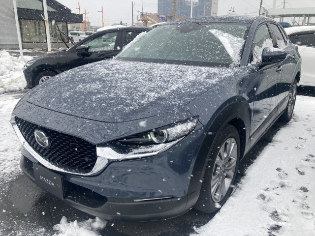 CX-30 2.0 20S プロアクティブ ツーリングセレクション 4WD 