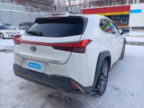 UX 250h Fスポーツ 4WD 