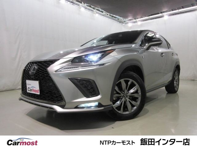 NX 300h Fスポーツ 