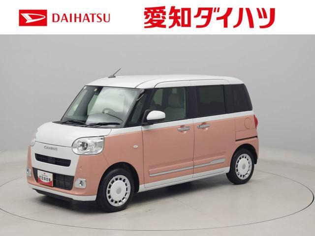 ムーヴキャンバス  ストライプス G