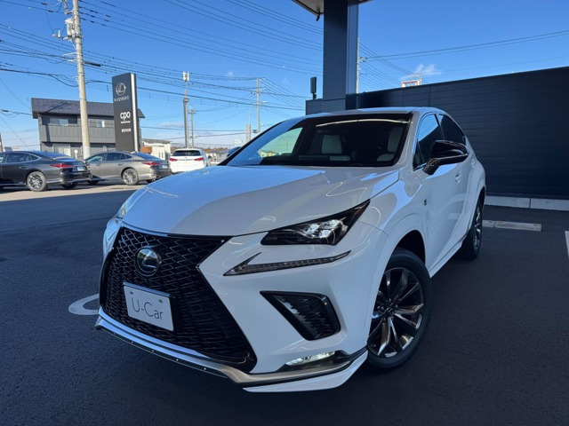 NX 300 Fスポーツ 4WD 