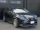 NX 200t Iパッケージ 