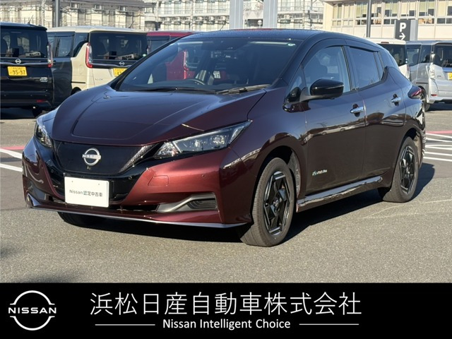 リーフ e+ X 