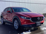 CX-30 2.0 20S プロアクティブ ツーリングセレクション 4WD 