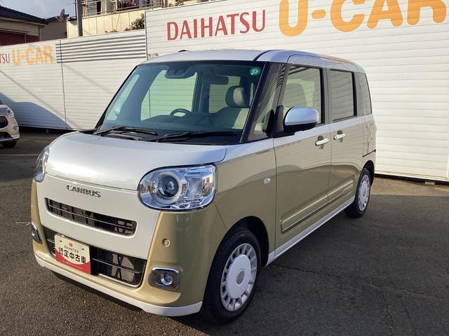 ムーヴキャンバス  ストライプス G