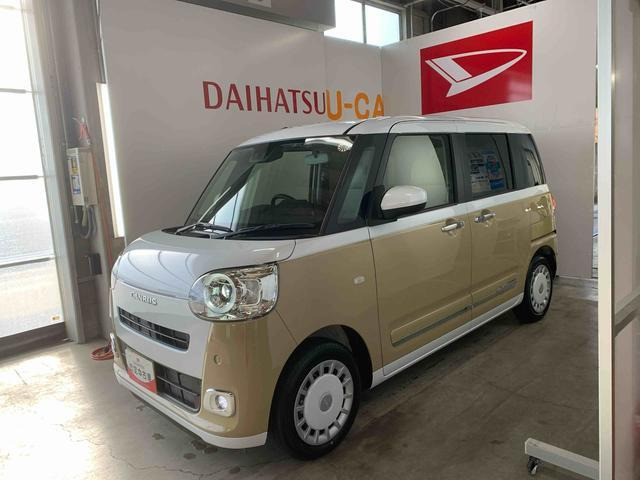 ムーヴキャンバス  ストライプス G
