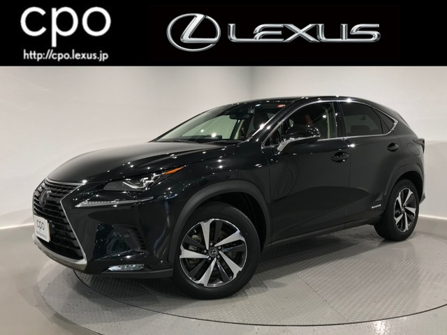 NX 300h バージョンL 