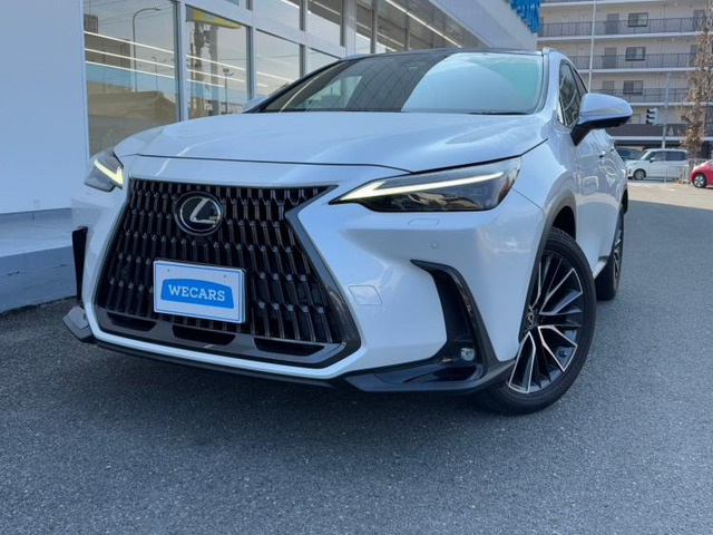NX 250 バージョンL 