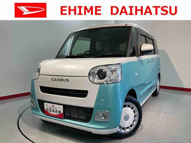 ムーヴキャンバス  ストライプス G