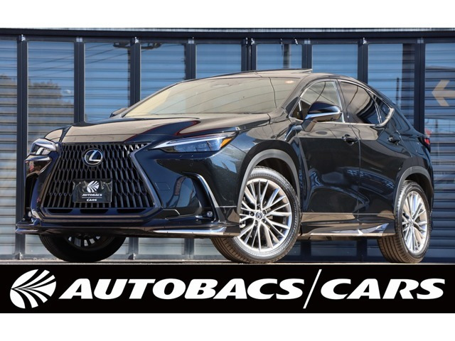 新車外しLEXUS NX Fスポーツ フロントバンパー
