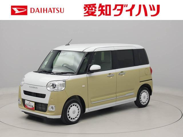 ムーヴキャンバス  ストライプス G