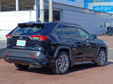 RAV4 2.0 G Zパッケージ 4WD 