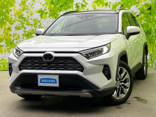 RAV4 2.0 G Zパッケージ 4WD 