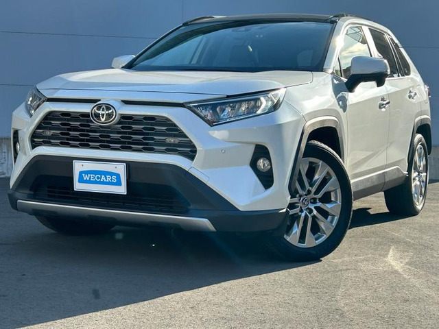 RAV4 2.0 G Zパッケージ 4WD 
