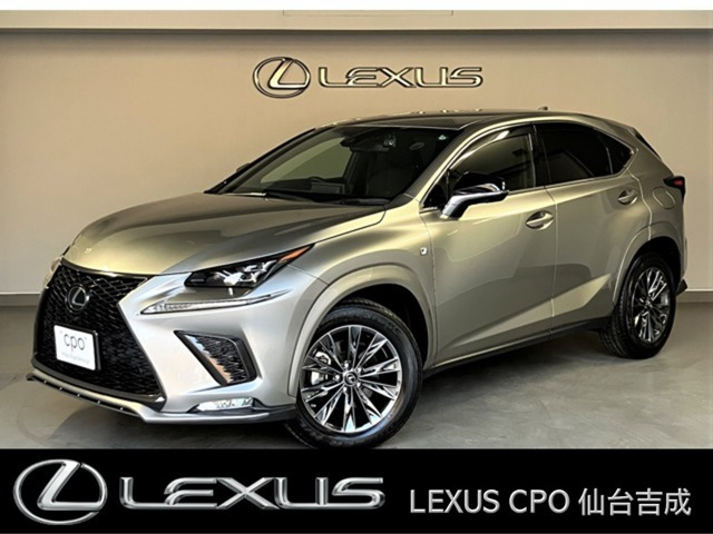 NX 300 4WD クール&ブライト 4WD